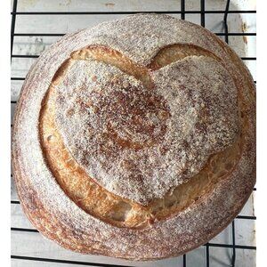 Dehydrated Sourdough Starter Genesis Long Island NY Active Dry Culture w/ Guide